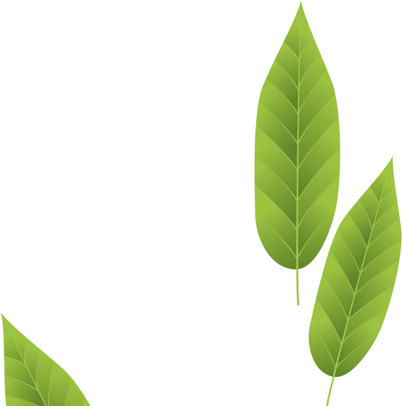 decorative leaves